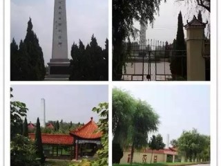 东明天气，四季流转间的黄河风情