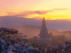 庐山风景区天气预报，云海之巅的天气密码，你的旅行指南