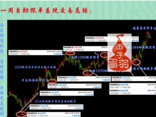 红单达人专家免费中心版V44.93.41.208安卓系统版本-好用