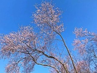富阳天气预报15天，掌握未来两周天气变化，出行生活早规划