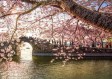 无锡一周天气预报，春暖花开，天气多变，出行需留意