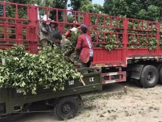 十五天精准天气预报，科技如何让未来不再风云莫测