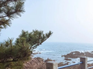 青岛的天气，海风里的四季诗篇
