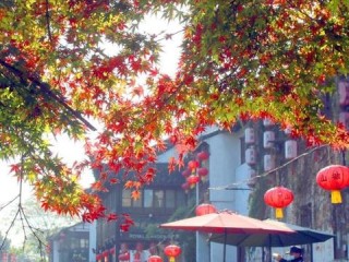 今日天气最新预报，冷空气南下，南方多地将迎断崖式降温