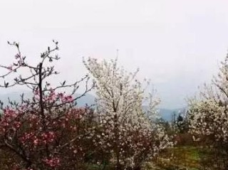 宜昌天气，一半是江湖，一半是诗画