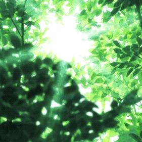 临平天气预报15天（临平天气预报15天当地天气查询表）