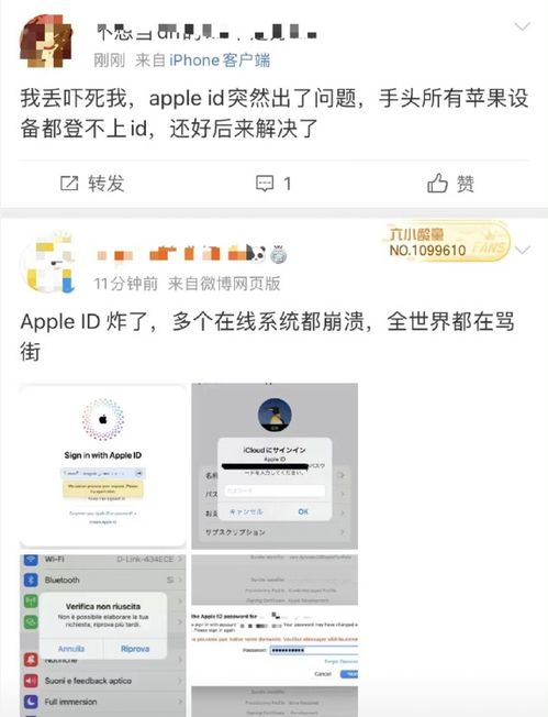 河南11选5绿色版V55.91.227.80苹果版本-推荐 河南11选5绿色版V55.91.227.80苹果版本-推荐