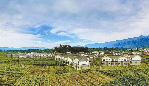 五寨天气预报，守护高原小镇的阴晴冷暖