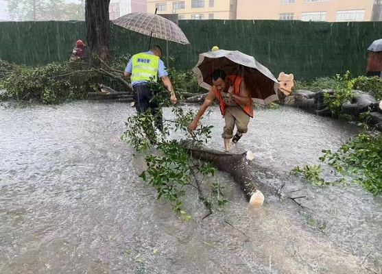 台风最新消息了，风雨中的城市，与那些坚守的身影
