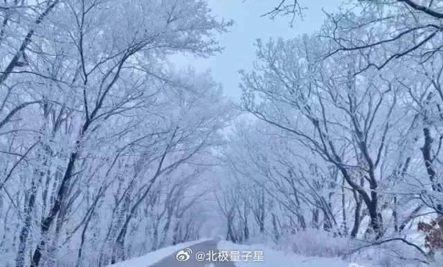 黑龙江天气，冬有严寒刺骨，夏有清凉宜人