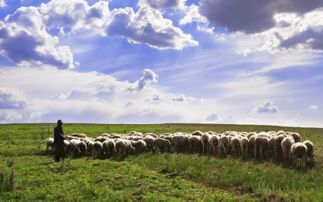 呼和浩特的天气，一座北疆城市的四季呼吸