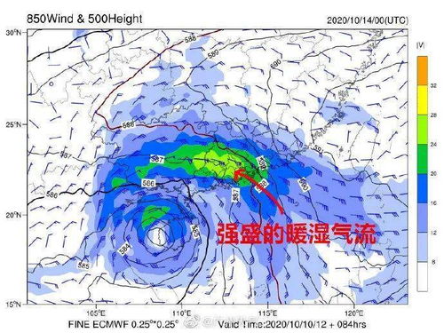 上海15天天气预报，申城晴雨交替，气温起伏如过山车
