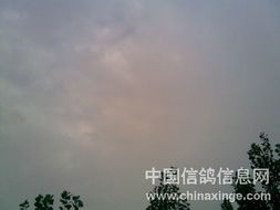 三明天气预报15天，变幻无常的天气，藏在绿水青山间的小脾气