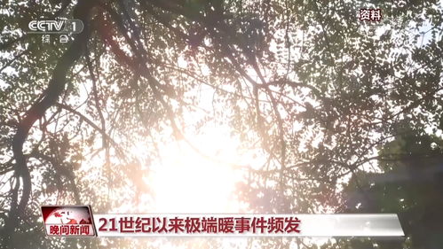 丰台天气,一场温柔的冷暖叙事 丰台天气,一场温柔的冷暖叙事