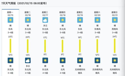 指尖上的风云变幻—上海天气网首页，一座城市的呼吸与温度