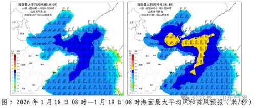 天全天气预报更新时间，精准气象服务的背后逻辑