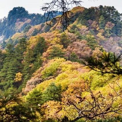 南阳天气预报15天,秋意渐浓,气温起伏需注意 南阳天气预报15天,秋意渐浓,气温起伏需注意