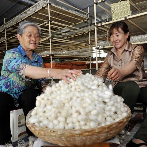 富县天气预报，气候密码下的生活指南
