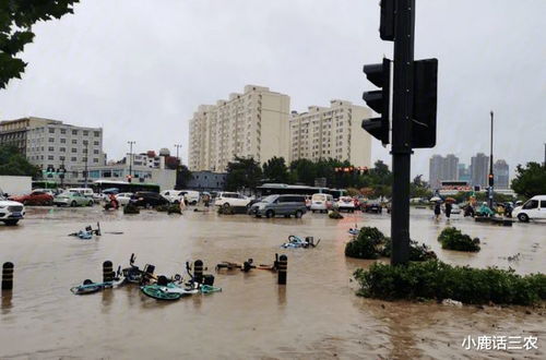 今明两天大暴雨,一场与天争时的城市保卫战 今明两天大暴雨,一场与天争时的城市保卫战