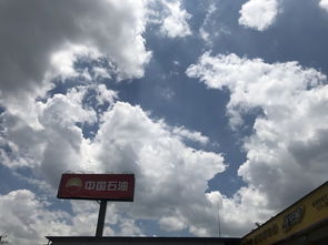 明天预计几点下雨?一场与时间的温柔较量 明天预计几点下雨?一场与时间的温柔较量