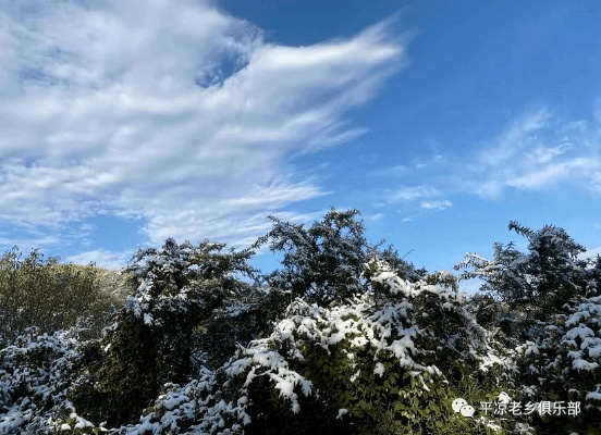 平凉的天空，藏着一部二十四节气