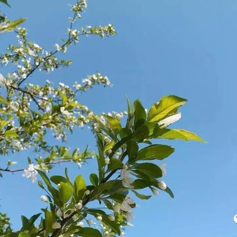 回顾前10天天气，冷暖交替中，我们经历了什么？