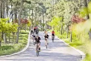 桂林气温最近10天，忽冷忽热如坐过山车，市民感叹春如四季