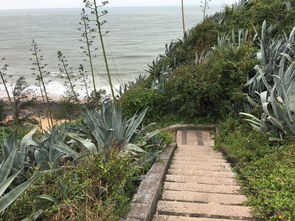 厦门下雨天影响旅游吗?一场雨中的别样风景 厦门下雨天影响旅游吗?一场雨中的别样风景