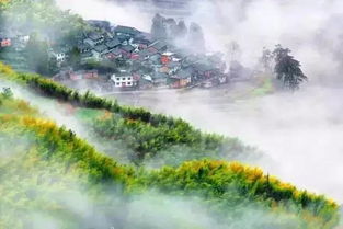 金寨天气预报,雨霁云开,山城四季的温柔与锋芒 金寨天气预报,雨霁云开,山城四季的温柔与锋芒