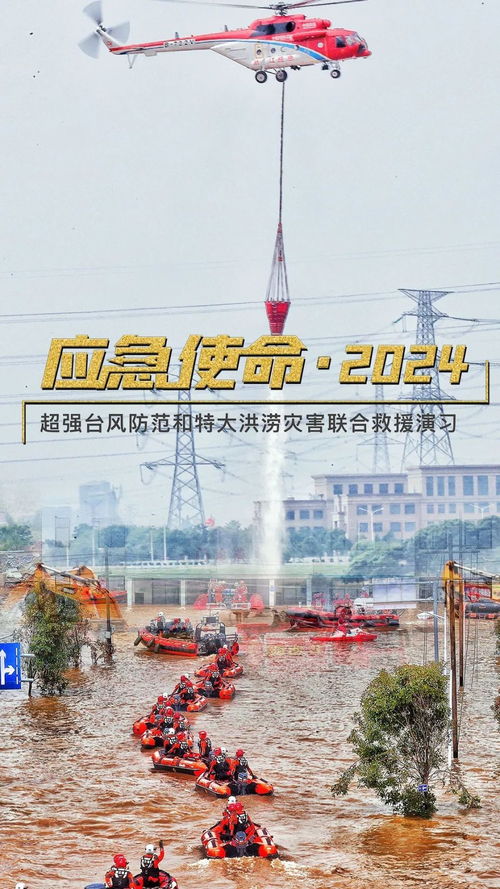 台风万宜2024回顾，风过留痕，人间有爱